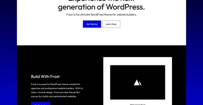 Frost  適合時尚而復雜的WordPress網站